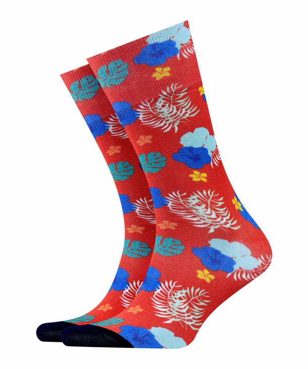 Burlington Blackpool Calcetines para Hombre